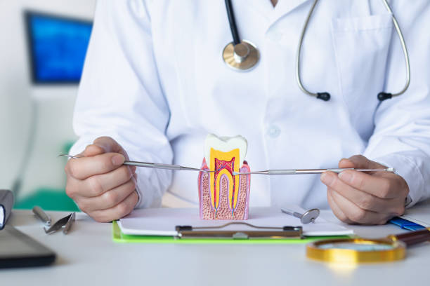 Best Urgent Dental Care for Toothache in Prospect Park, NJ